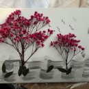 프렌드농장 이미지