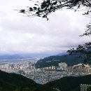 낙동강어탕국수 이미지