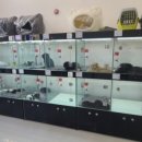 토이 켄넬 이미지