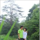 계곡의 아침 이미지