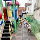 화백나무 유아숲체험원 이미지