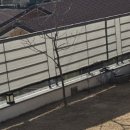 망고 애견 이미지