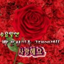 수요일 - 종로구 인사동길 36 | 수요일