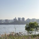 엄지빌딩 | 파주 네일샵 골든풋 파주 금손네일 내성발톱 엄지 꼼꼼케어 후기