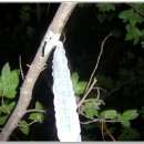 진양호삼거리 이미지