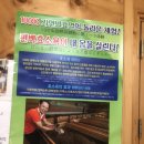 자갈치효소편백원 이미지