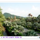 소유농원 이미지
