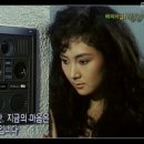 샴푸의요정 이미지
