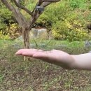 광역투어(첫주, 일) | 충남 당일치기 여행코스 추천 당진광역투어 알차게 즐기기