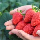 밀양우체국 이미지