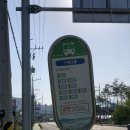 등나무 | 구미 대구 근교 칠곡군 가산면 다부리 등나무 실시간 후기