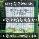 은혜농원 | 의왕 서현농원 셀프바베큐장 후기