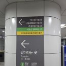 기장체육관주경기장 | 2025 프로농구 서울 삼성 썬더스 홈경기 직관기 | 잠실실내체육관 응원석 2층 8구역에서 느낀 농구의 열기