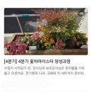 꽃차마이스터양성과정 네이버블로그
