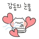 브라운동물병원 이미지
