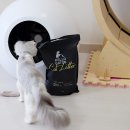 헬로가토스 이미지