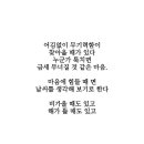 버티다 버티다 힘들면 놓아도 된다 책속의 한 줄 이미지