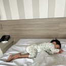 터치바이솔 | [day3_미야자키] 선메세니치산 > 치킨난반 오구라본점> 타코야끼 > 시가이아 숙소