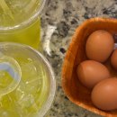 불독셀프세차 | 1월