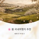 한우촌목장 | 봄 국내여행지 추천: 4월에 꼭 가야 할 곳