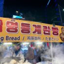 미디어트리 이미지