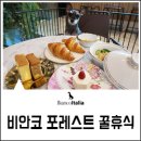 비안코 포레스트 이미지