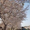 용평사거리 이미지