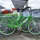 신정호국민관광지 대여소 이미지