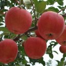 양화농장 이미지