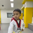 미소나무 태권도장(새싹관) 이미지