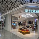 심천케이스 | [심천 공항 라운지 완벽 후기] 국제선 VIP 라운지 2 (SZX) 위치, 서비스, 꿀팁!