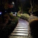 더소설 이미지