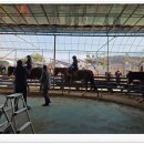 BK승마랜드 이미지