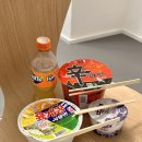 겨울 12월 로마 여행 | 로마 바티칸 투어, 리나센테 로마 백화점, 로마 한식당 가인 후기
