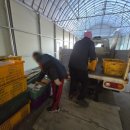 폐기물오케이 이미지