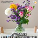 하대동386 이미지