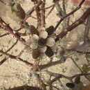 쌍치초등학교 이미지