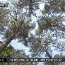 코리아레드파인 이미지