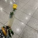 FLOPORT | 제주도 D-1 / 애인 입국