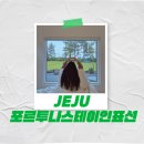 스테이인숲 이미지