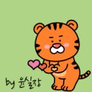 100억공인중개사사무소 이미지