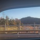 권돼지국밥 이미지
