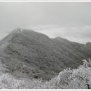 밀양고등학교 이미지