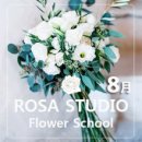 선인장스튜디오 이미지