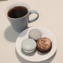 일산동구 수제 마카롱 도도마롱[중산동]