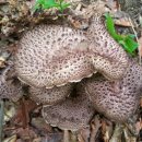 정숙농장 이미지