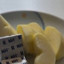 하늘재농장 | 🍏 지리산하늘재농장 시나노골드