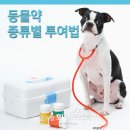 압구정화이트약국 이미지