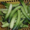 서정덕농장 이미지