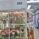 분당-376 | 분당꽃집 센스있는 꽃다발 선물, 초롱꽃방 후기